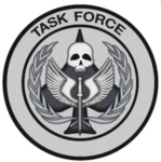Task Force Platoon.