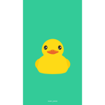 The group of Duckyss