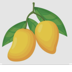 The miniature mangoes