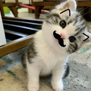 ♡