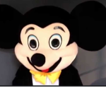 Mickey Mouse cult house