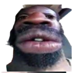 Finnessedracks