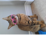 Hi_wat
