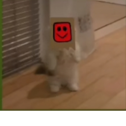 Internet Trap!