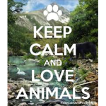 we love animals c: