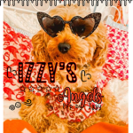 ʚɞ Izzy’s angels ʚɞ