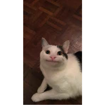 Fighting Grabs Characters!(Gear5)