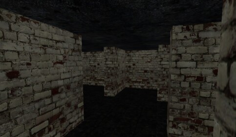 the cursed maze (Daku is looking for you)