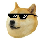 D0GE.