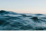 yesnonononono