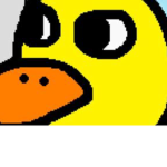 The funky ducks