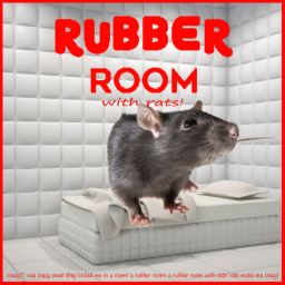 [NEW] Rubber Room With Rats