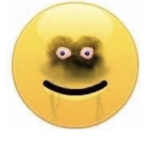 take my bobux