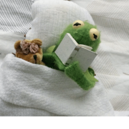 Kermit as Dream