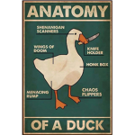 1#Ducks are better