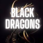 BlackDragons Studios