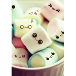 Trading group Evelyn_2729