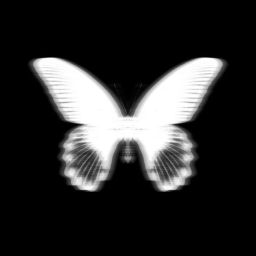 ☆: *.