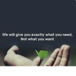 Life comes to the light