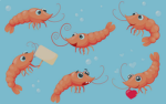 : shrimp
