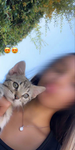 Louane_layana