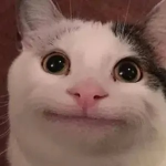 Gg all folks oof