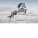 Mythic riders