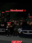 Bloodhound 79ᵗʰ