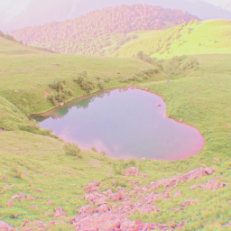 ✧･ﾟ: *✧･ﾟ:*