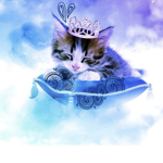 “Hi i’m kitty” Said Kitty