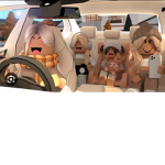 PeachesLexi fan club