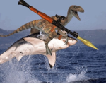 Accurate Raptors