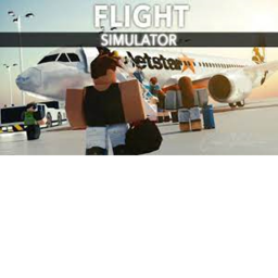 Lion air plane simulator