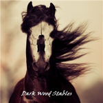 Dark Wood Stables