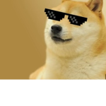 DoGe_StUdIoZ
