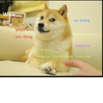 THE DOGES ARMY!