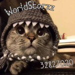 WorldStarzz