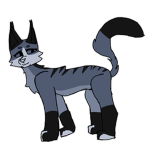 SolarClan Warrior cats