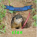 Gopher Clan