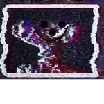 Bear Analog Official Group