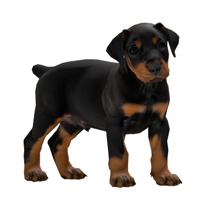 Carry a Doberman Puppy Roblox item