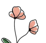 Flowers Groups :)
