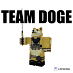 o: Team Doge :o