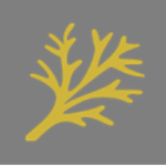 [BA] - Special Investigation Branch