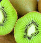 *+ kiwi squad*+