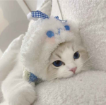 meauw