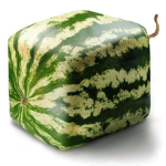 Fruiticus