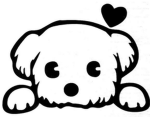 Charlie team ugc