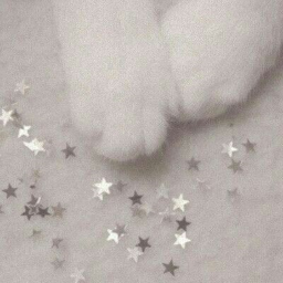 ☄. *. ⋆