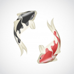 fish clothing group